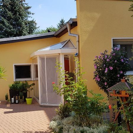Ferienhaus Koehler Wittenberg Экстерьер фото